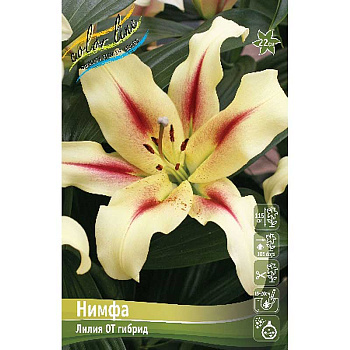 Лилия Нимфа 12/14 25 шт Биг-Пак 10522 