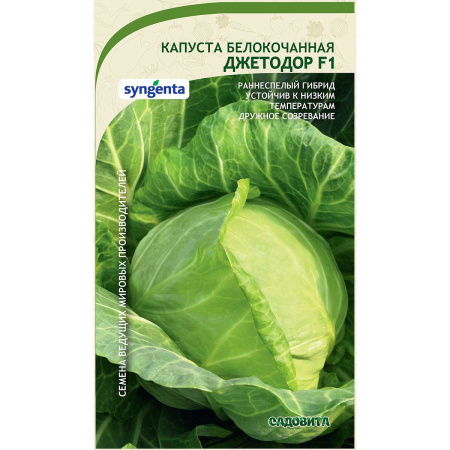 Капуста Джетодор белокочанная F1 10 шт Syngenta/Садовита Ц