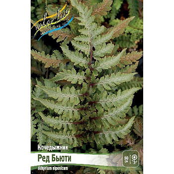 8250 Биг-Пак Кочедыжник Ред Бьюти I 25 шт