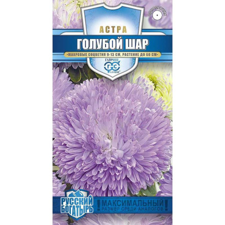Астра Голубой шар Гавриш Ц 