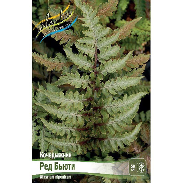 8250 Биг-Пак Кочедыжник Ред Бьюти I 25 шт