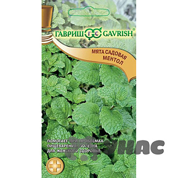 Мята садовая Ментол Гавриш Ц