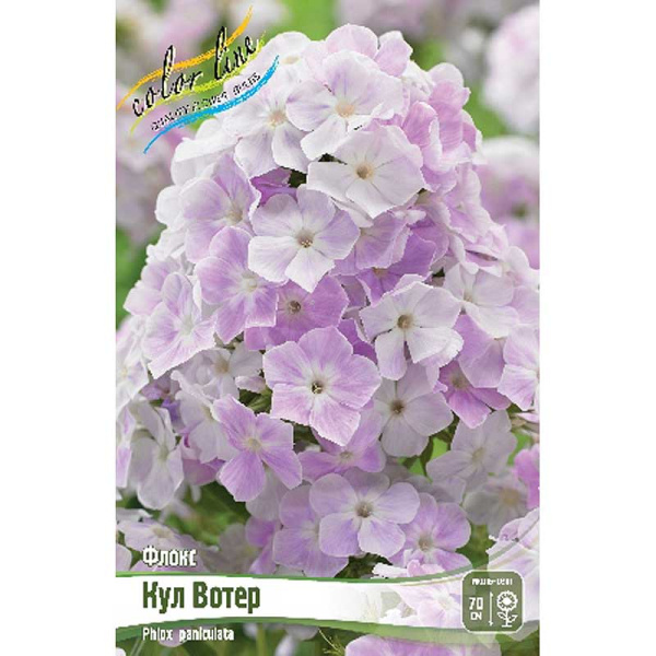 Флокс Кул Вотер I 2 шт