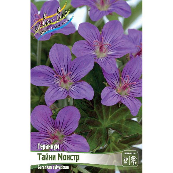 Гераниум Тайни Монстр I 1 шт