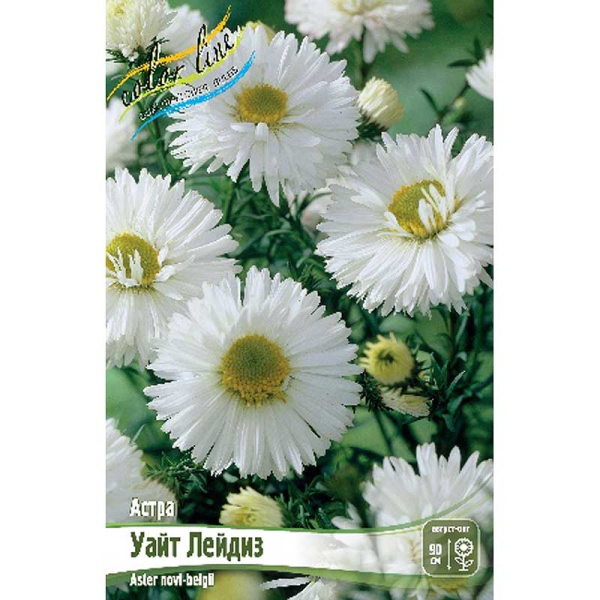 9965 Биг-Пак Астра Уайт Лейдиз I 25 шт