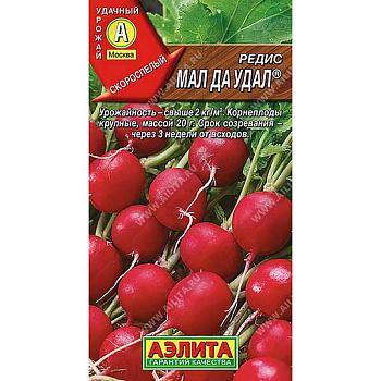 Редис Мал  да удал  Аэлита Ц