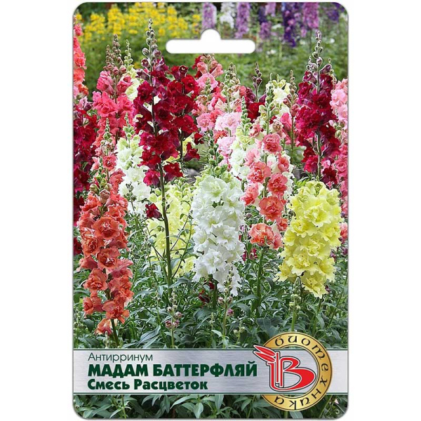Антирринум Мадам Баттерфляй смесь Биотехника Ц 