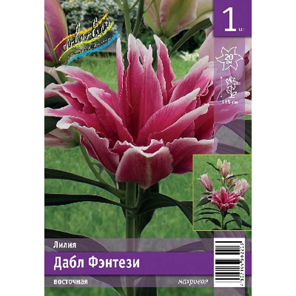 Лилия Дабл Фэнтези 12/14 1 Эконом шт