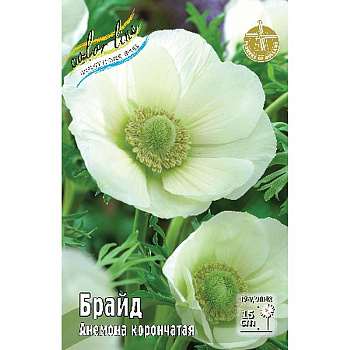 Анемона Брайд 5/6 10 шт