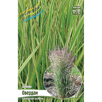 9956 Биг-Пак Вейник Овердам 2/3 25 шт