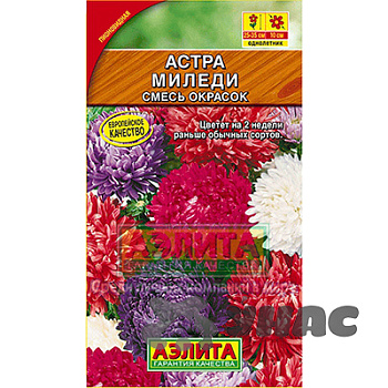 Астра Миледи смесь Аэлита Ц 