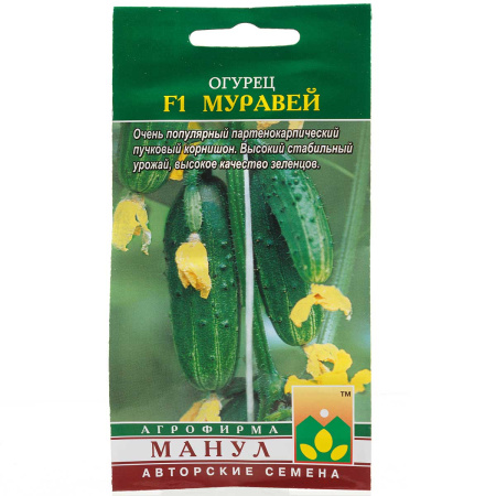 Огурец Муравей Манул Ц