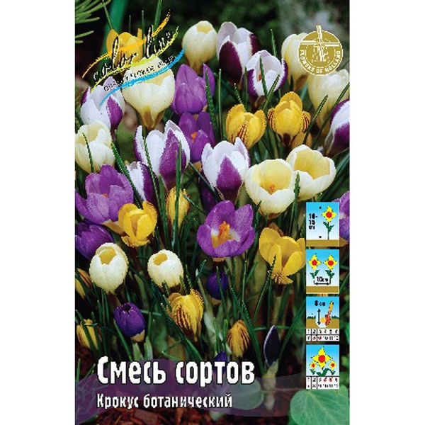 14991 Шоу-Бокс Крокус Смесь Ботанических Сортов 5/7 150 шт