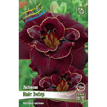 Лилейник Найт Эмбер I 1 шт