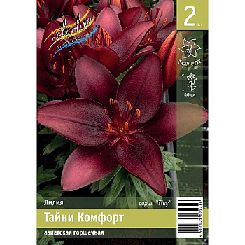 Лилия Тайни Комфорт 10/12 2 Эконом шт 