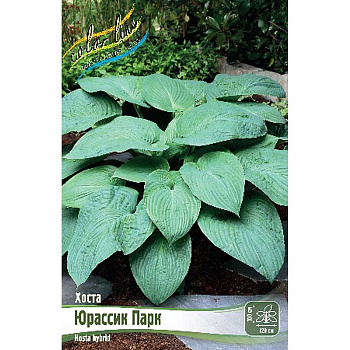 Хоста Юрассик Парк 1 n 1 шт