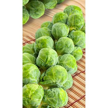 Капуста брюссельская Геркулес 0,2гр Садовита Ц