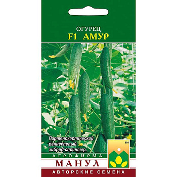 Огурец Амур Манул Ц