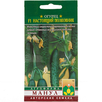 Огурец Настоящий полковник Манул Ц