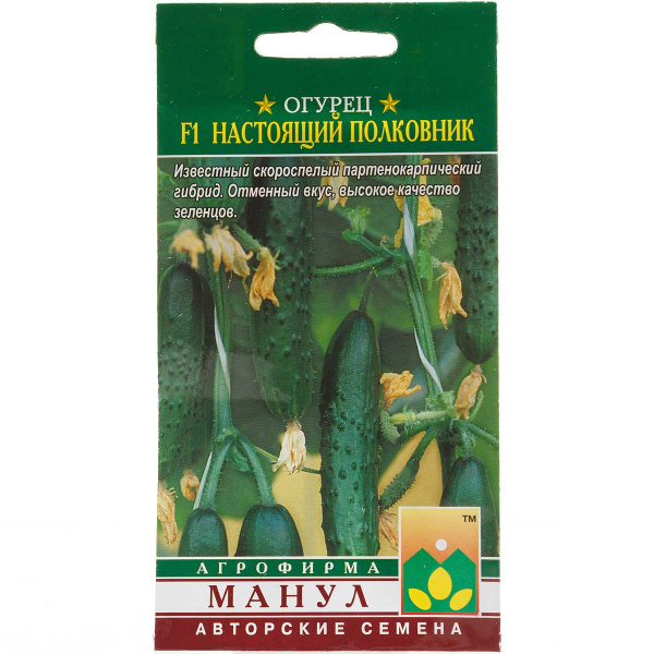 Огурец Настоящий полковник Манул Ц