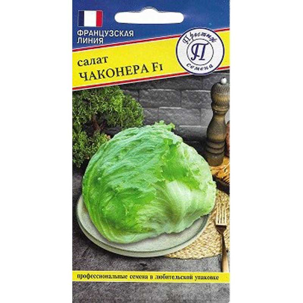 Салат Чаконера Престиж Ц