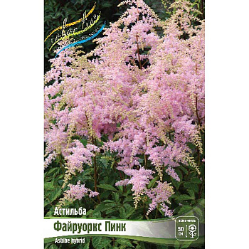 Астильба Файруоркс Пинк 2/3 n 1 шт