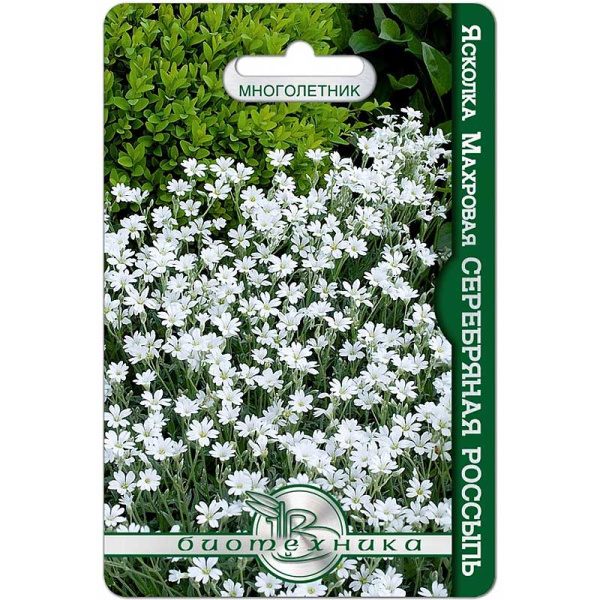 Ясколка Серебрянная россыпь Биотехника Ц 