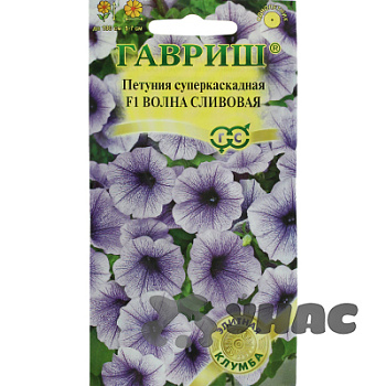 Петуния Волна Сливовая (минитуния) Гавриш Ц 