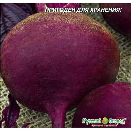 Свекла Смуглянка НК Ц