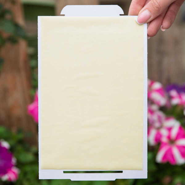 Грызунофф оффлайн клеевая ловушка-домик 2шт (GR15010021/GR10370021) /96