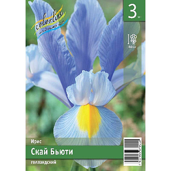 Ирис Голл. Скай Бьюти 8/+ 5 Эконом шт