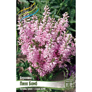 Вероника Пинк Бомб I 1 шт