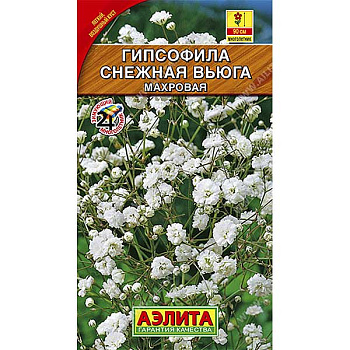Гипсофила Снежная вьюга Аэлита Ц 
