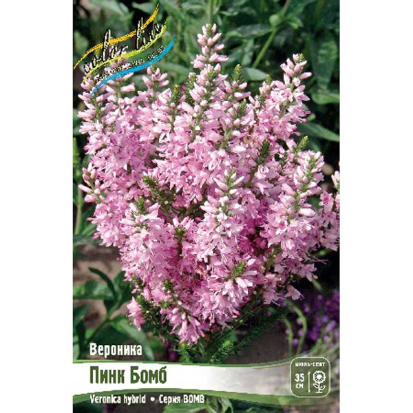 Вероника Пинк Бомб I 1 шт