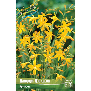 Крокосмия Джордж Дэвидсон 8/+ 8 шт 