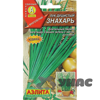 Лук душистый Знахарь Аэлита Ц x10