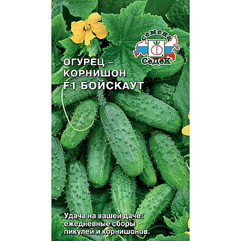 Огурец Бойскаут Седек Ц