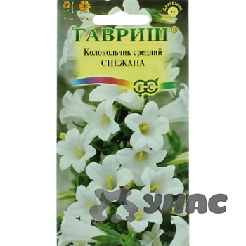 Колокольчик Снежана средний Гавриш Ц 