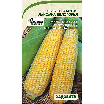 Кукуруза Лакомка Белогорья 20шт Садовита Ц