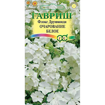 Флокс Друммонда Очарование белое 0,05 г Гавриш Ц 