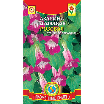 Азарина лазающая Розовая Плазма Ц 