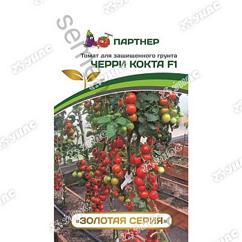 Семена Томат Кокта черри Партнер