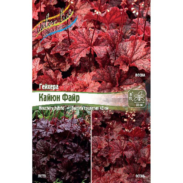 Гейхера Кайюн Файр I 25 шт Биг-пак 5692