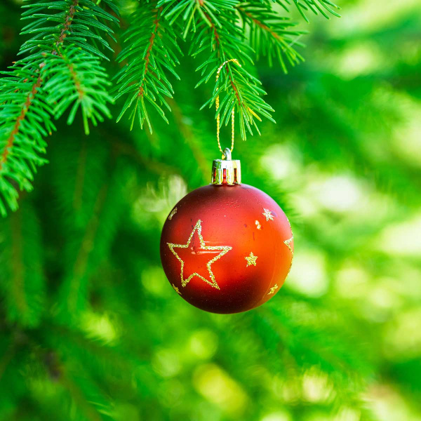 Набор елочных украшений JT25-HGS330 5см 6шт Шары красный (3шт дольки, 3шт с рисунком звезды) (240)