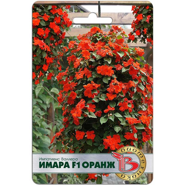Импатиенс Валлера Имара F1 Оранж Биотехника Ц 