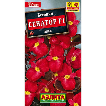 КОМ Бегония Сенатор алая Аэлита Ц 