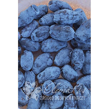 Жимолость камчатская Аврора P9 шт