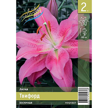 Лилия Твифорд 12/14 2 Эконом шт 