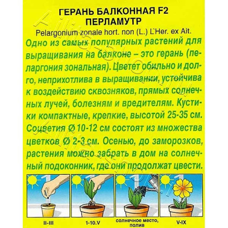 КОМ Герань Перламутр Аэлита Ц 