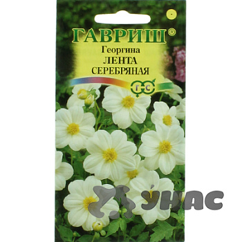 Георгин Лента серебряная Гавриш Ц 